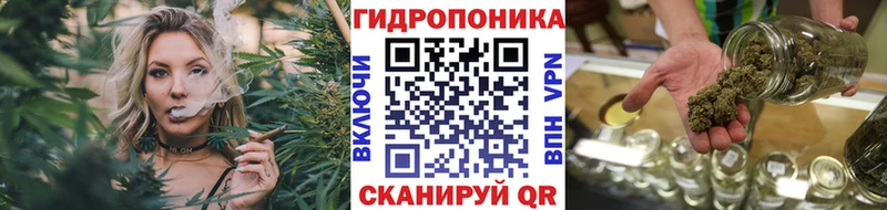 Где купить наркоту Пушкино Канабис  OMG рабочий сайт  Метадон  Галлюциногенные грибы  МЕФ  Гашиш  Амфетамин 