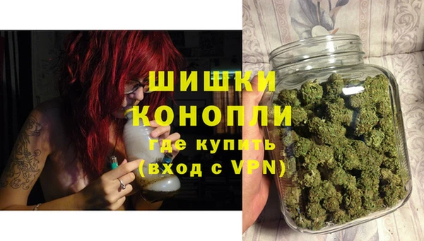 мяу мяу мука Аркадак