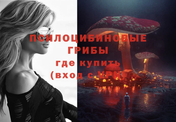 МДПВ Арсеньев