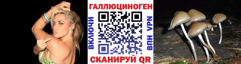Галлюциногенные грибы мицелий  ОМГ ОМГ маркетплейс  Пушкино  купить наркотик 