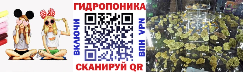 Бошки Шишки ГИДРОПОН  Пушкино 